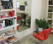 hair salon Snip