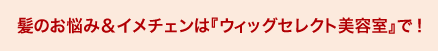 ̂Y݁C`F́wEBbOZNgexŁI