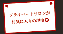vCx[gTCɓ̗R
