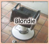 Blondie (ufB)